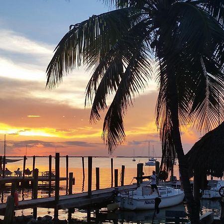 Key Largo Cottages Κι Λάργκο Εξωτερικό φωτογραφία