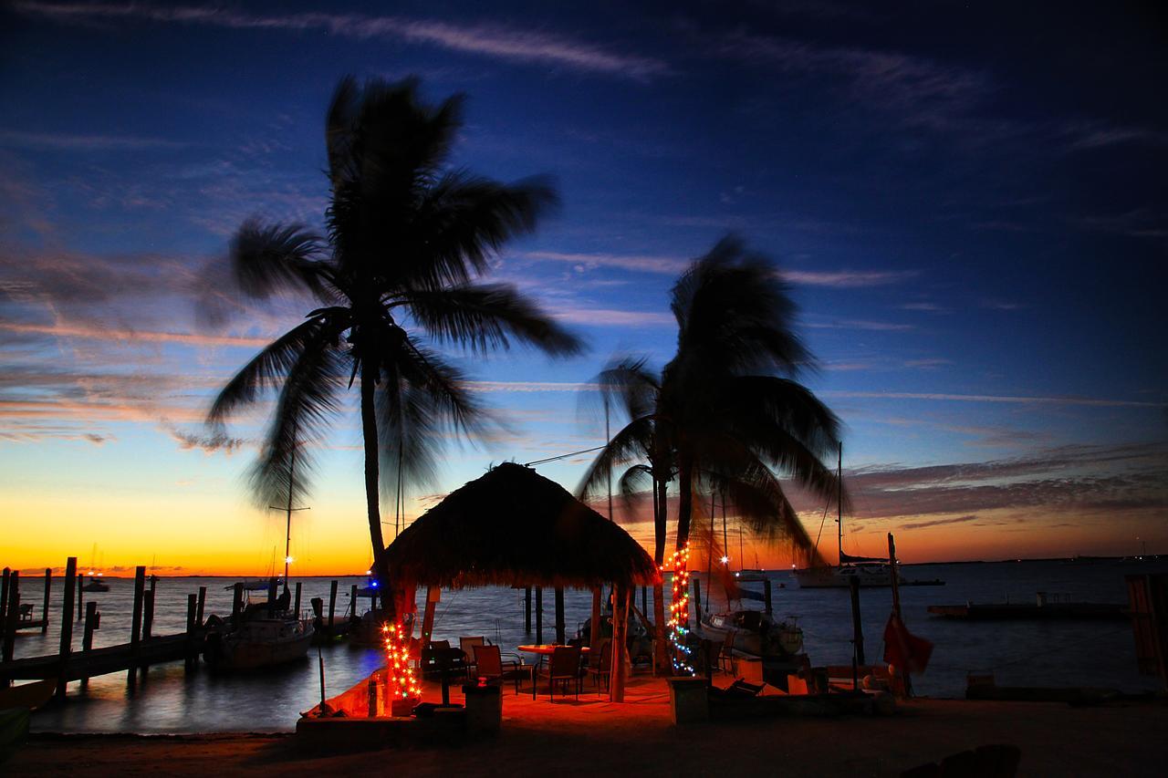 Key Largo Cottages Κι Λάργκο Εξωτερικό φωτογραφία